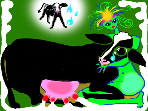 La vache qui pleure car on lui vole son lait et son enfant.