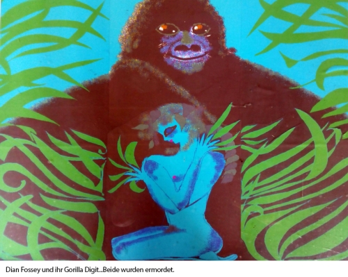 Dian-Fossey-und-ihr-Gorilla-Digit.Beide-wurden-ermordet